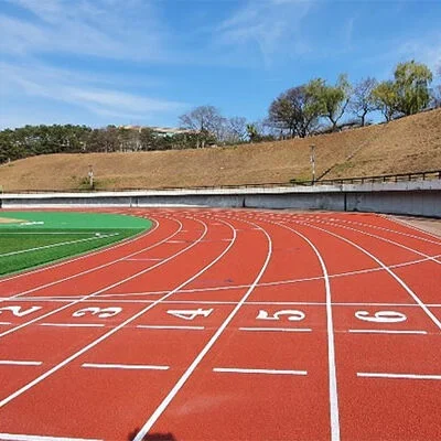 Hybrid Polyurethane Running Track